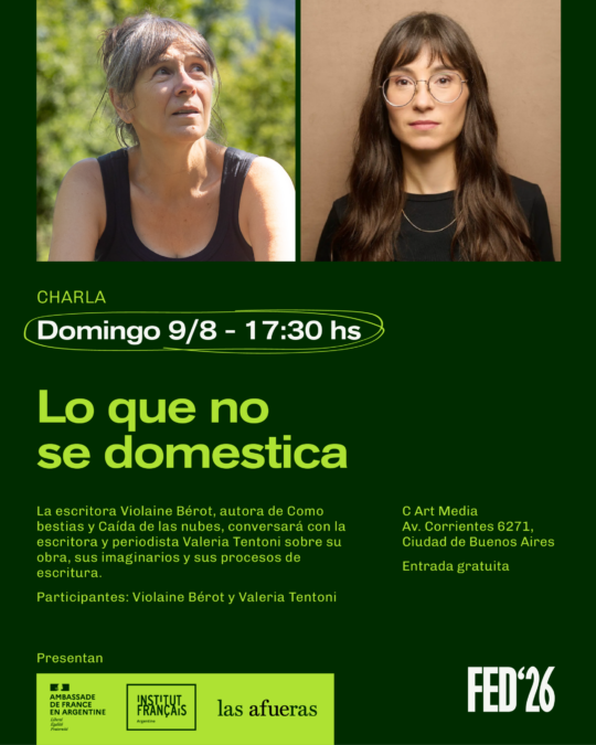 FED26-Charlas-9.3-Domestica-v1_Flyer-Charla v2